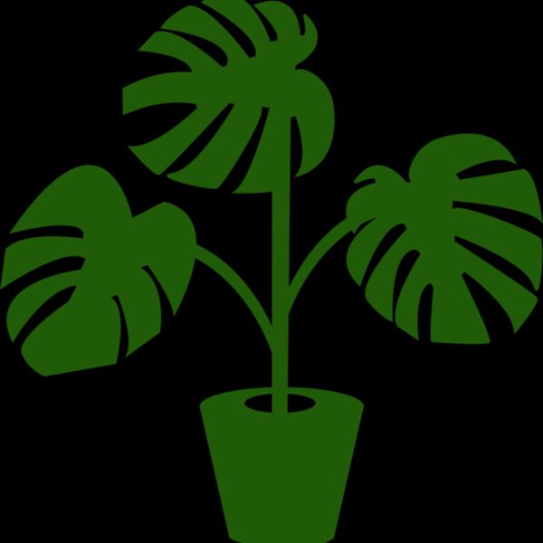 Plant Thumbnail