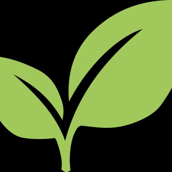 Leaves 6 Thumbnail