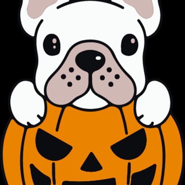 Pumpkin Frenchie White (0896) Thumbnail