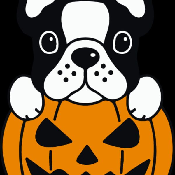 Pumpkin Frenchie (0895) Thumbnail