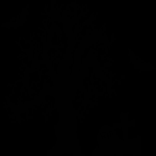 Spooky Tree Grave Bats (0886) Thumbnail