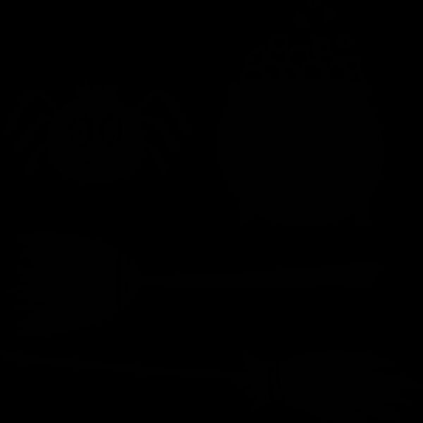 Cauldron Spider Brooms (0893) Thumbnail