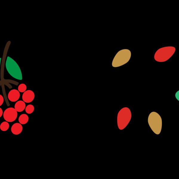 Don't Get Tinsel Tangled (0594) Thumbnail