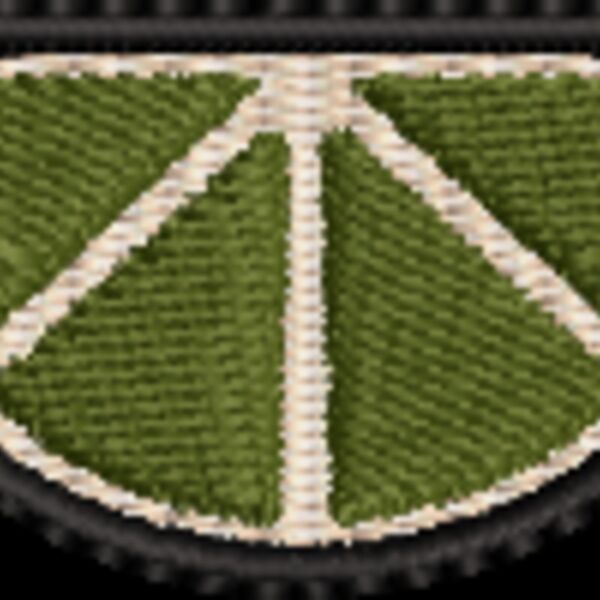 Lemon Slice (0293) Thumbnail