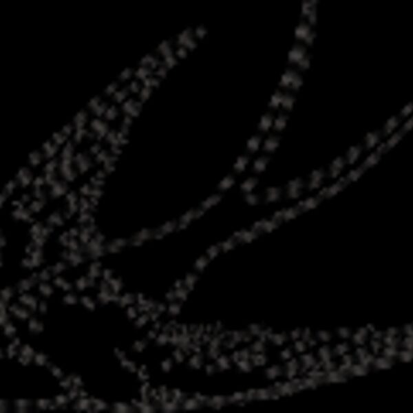 Sparrow Line Art (0302) Thumbnail