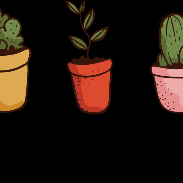 Growing to your full potential Thumbnail