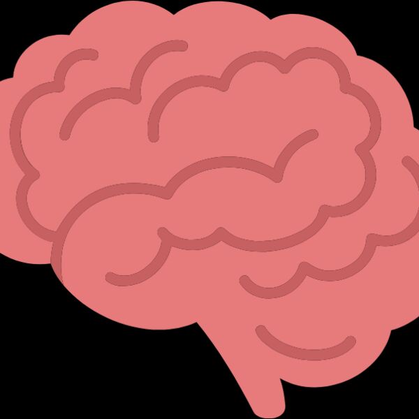 Brain Thumbnail