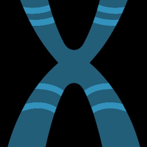 Chromosome Thumbnail