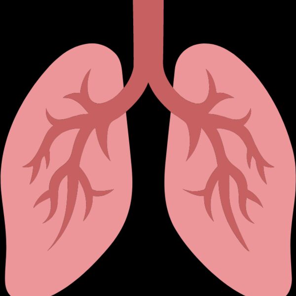 Lungs Thumbnail