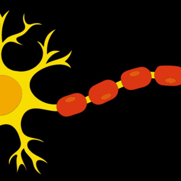 Neuron Thumbnail
