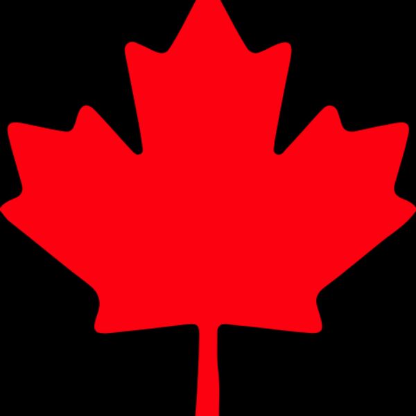 Maple Leaf Thumbnail