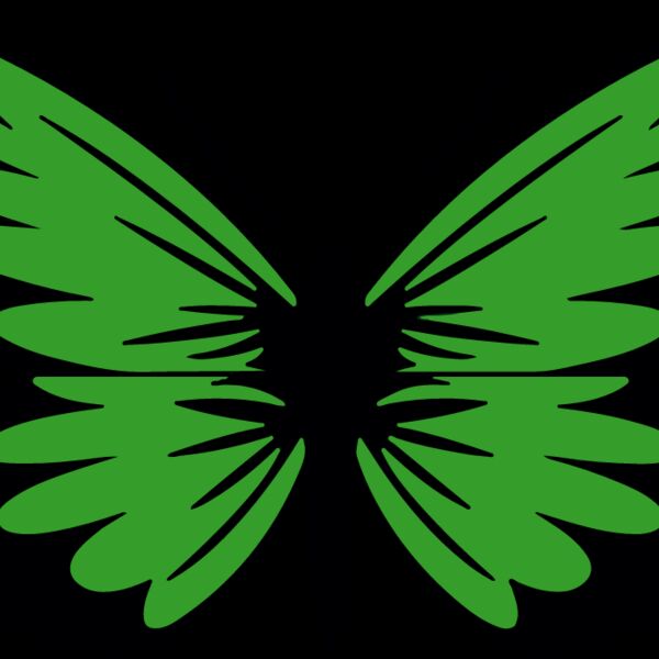 Green Butterfly Thumbnail