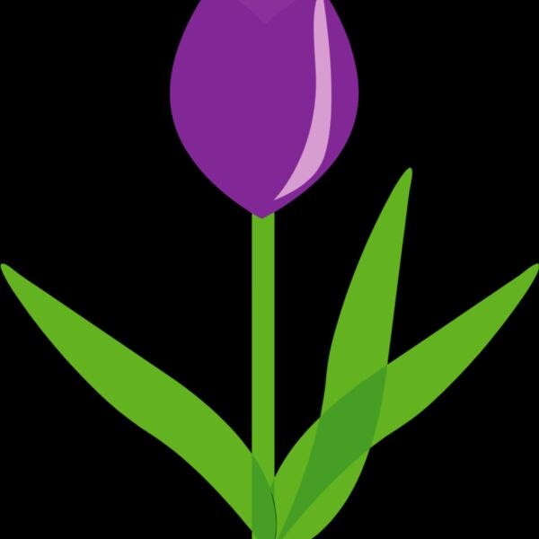 Tulip Flower Thumbnail