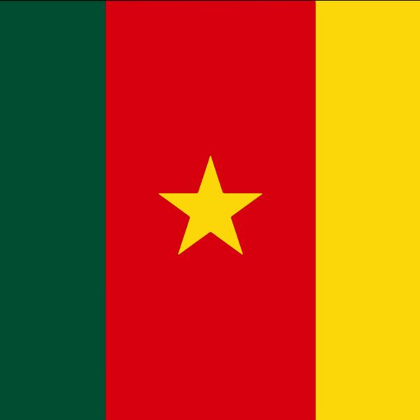 Cameroon Flag Thumbnail