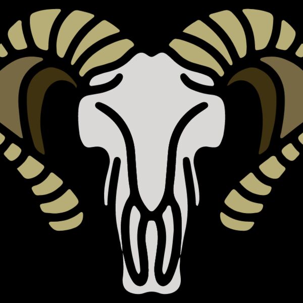 Bighorn Sheep Skull Thumbnail