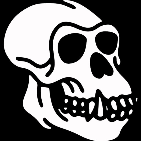 Homosapien Skull Thumbnail