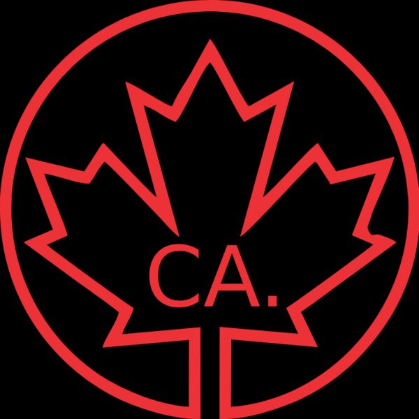 CA FLAG 04 Thumbnail