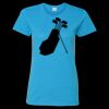 Heavy Cotton Women’s T-Shirt Thumbnail
