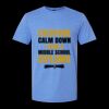  Men/Unisex Softstyle Lightweight T-Shirt Thumbnail