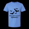  Men/Unisex Softstyle Lightweight T-Shirt Thumbnail