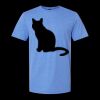 Men/Unisex Softstyle Lightweight T-Shirt Thumbnail