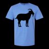  Men/Unisex Softstyle Lightweight T-Shirt Thumbnail