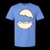  Men/Unisex Softstyle Lightweight T-Shirt Thumbnail