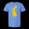  Men/Unisex Softstyle Lightweight T-Shirt Thumbnail