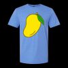  Men/Unisex Softstyle Lightweight T-Shirt Thumbnail