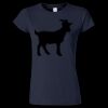 Softstyle Women’s Light Weight T-Shirt Thumbnail