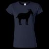 Softstyle Women’s Light Weight T-Shirt Thumbnail