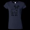 Softstyle Women’s Light Weight T-Shirt Thumbnail