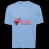 ATC Pro Team Polyester Short Sleeve Tee Thumbnail
